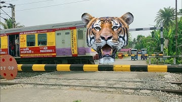 Hunger Tiger Face EMU Train Dengerous & Furrious Moving Throughout Railgate @trainsbeat9416