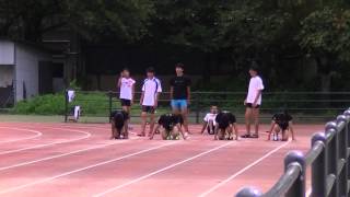 20140909 SD60m　早川　上ヶ嶋　箕島　納