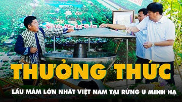 Thưởng thức lẩu mắm lớn nhất Việt Nam tại rừng U Minh Hạ