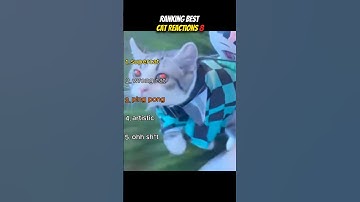 Cat Reactions 8 (THE LAST ONE 😂)#shorts #cat #funny #pets #cute