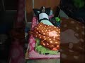 FULL MOYE MOYE HO GAYA EXAM TIME AT MEDICAL COLLEGE
