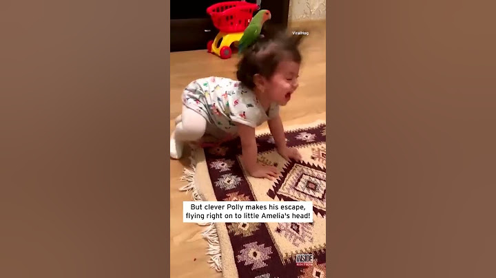 Parrot Hops on Little Girl's Head #Shorts
