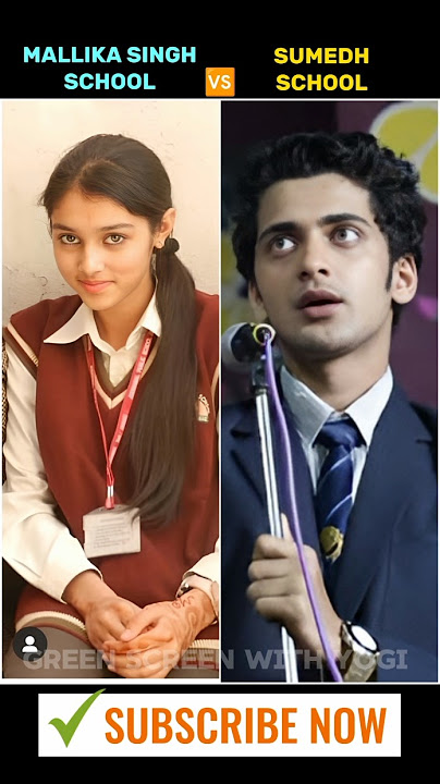 Mallika Singh Vs Sumedh Mudgalkar Then And Now 😍 #bollywood #shorts #radhakrishan #radhakrishna
