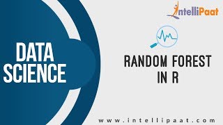 Random Forest in R | R Tutorial | Data Science Training | Intellipaat