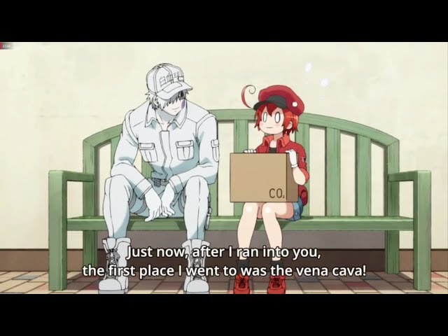So I watched the Cells at Work movie and I am just in love with this  Cinnamon Bun and his Lovely Baby Beans! : r/CellsAtWork