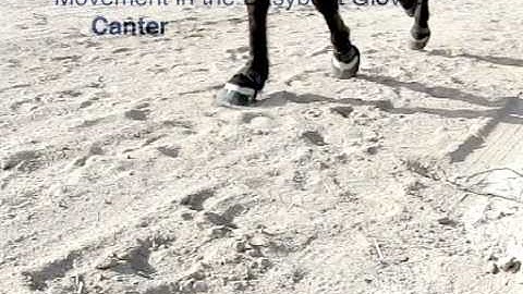 Movement in the Easyboot Glove: Canter