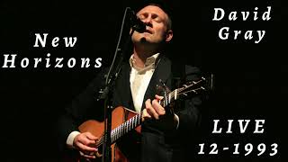 David Gray - New Horizons (Live, acoustic - December 18, 1993 at The Wetlands, New York)