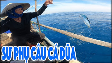 MỘT TRẢI NGHIỆM ĐI CÂU QUÁ HẤP DẪN - CÂU CÁ DŨA - MAHI MAHI FISHING || BỤI VLOG