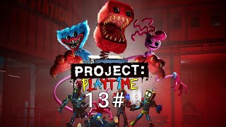 Project playtime 13#