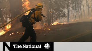 First-Hand Look At Devastation From Kincade Fire