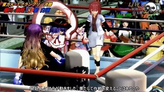 Touhou K-1 Grand Prix No Voice Edition【東方K-1グランプリ】