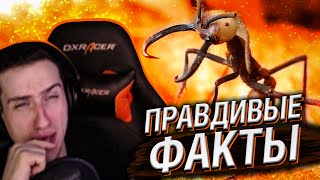 Hellyeahplay смотрит: Правдивые факты о кочевых муравьях