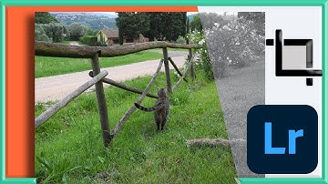 Crop & Rotate Images in Adobe Lightroom CC