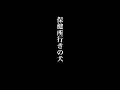 保健所行きの犬【感動する話】【泣ける話】【ほっこりする話】