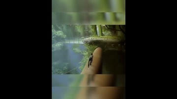 Joke mod CJ as Stray cat!