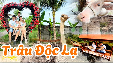 Nông Trại Cá Rồng Hồng Anh | Sờ Tận Tay Các Loài Thú Độc Lạ