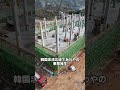 韓国が日本技術で高層ビルを建てたのに誰も住みたがらない理由やばすぎる