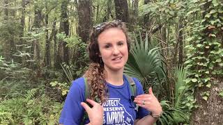 Stream Ecology
