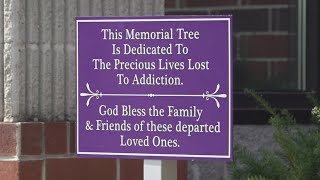 Seventh Annual Overdose Memorial Tree up in Blount County