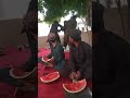 والی طالبان ولایت هلمند با پرسونل شان والی طالبان ولایت هلمند با پرسونل شان