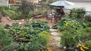 Enjoy the Garden (Northern Homestead in Alberta Canada)