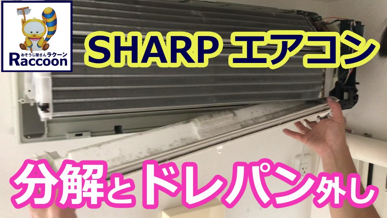 Sharpエアコン分解 ドレパン外し シャープエアコン掃除 エアコンクリーニング プロのエアコンそうじ Youtube