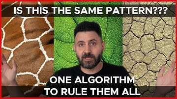 One algorithm can describe Giraffe skin, Leaf structure, and Cracked earth? Voronoi!