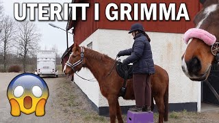 Stallvlogg  Uteritt i grimma, hoppträning och testar hack!