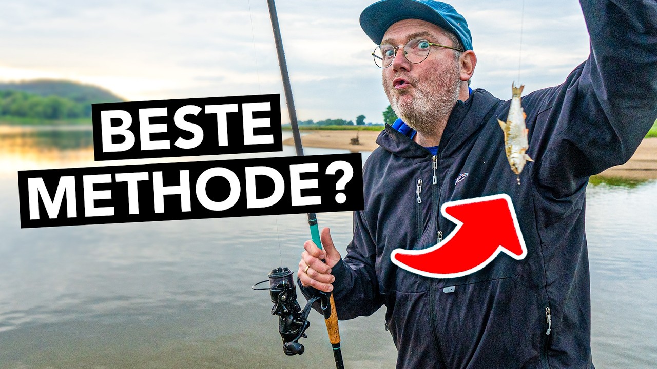 So fängst du Zander mit Köderfisch am Fluss! 🎣