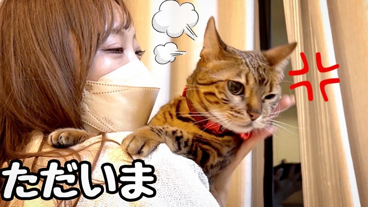 4日ぶりに帰宅したらボス猫がドス切れてて逃げまくります