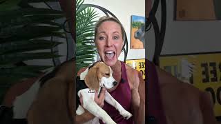 All the Ridgland Beagles are FINALLY FREE