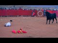 CORRIDA DE TOROS EN CCOLLPACCASA YAULI - HUANCAVELICA  2021 ✅