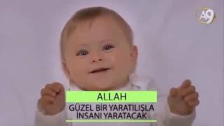 Çamurlu Sulardan Tesadüfen Olmadık Yaratildik.