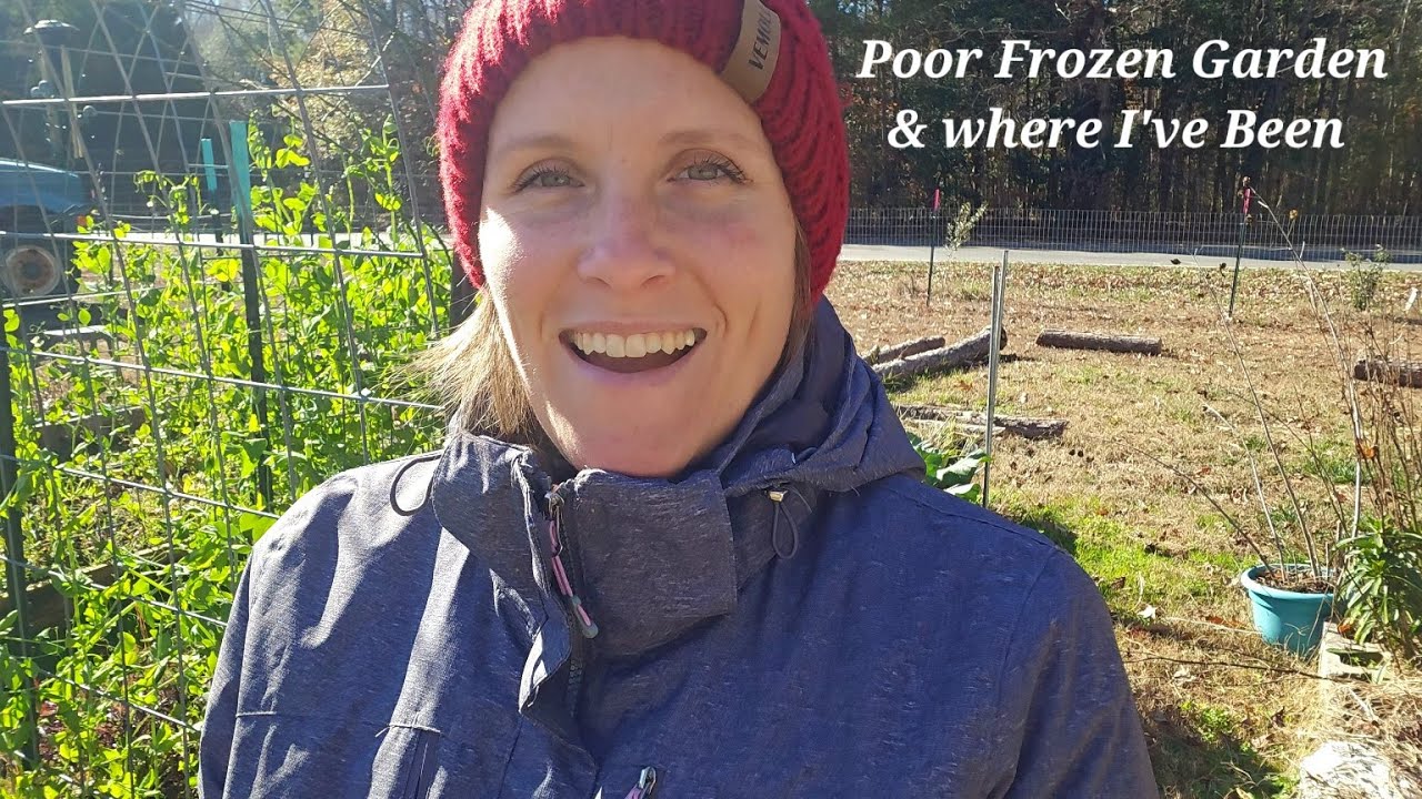 Poor Frozen Garden and Where I've Been | Vlog