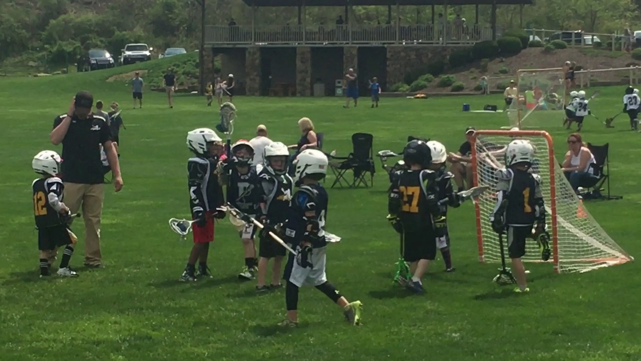 Pittsburgh Youth Lacrosse (Under 7) 2017 YouTube