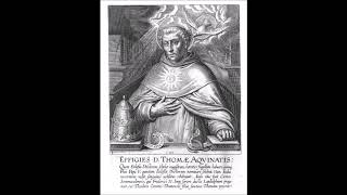 Mar 07 - Saint Thomas Aquinas - Ordo Praedicatorum - Dominican - 1274 - Fossa Nuovo