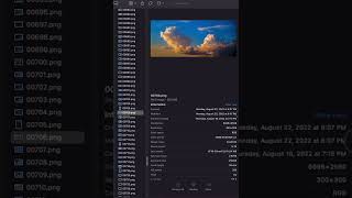 How the metadata and image looks once downloaded on Mac