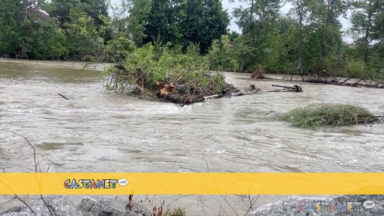 Not Out Of The Woods Yet YouTube not-out-of-the-woods-yet-youtube