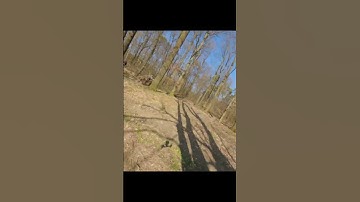 The tree at the end #fpv #freestyle #fail #failarmy #shortsfeed #shortsviral #foryou #drone #crash