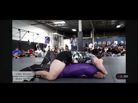 スケボー　Blake Harris Blake Harris BJJ - YouTube