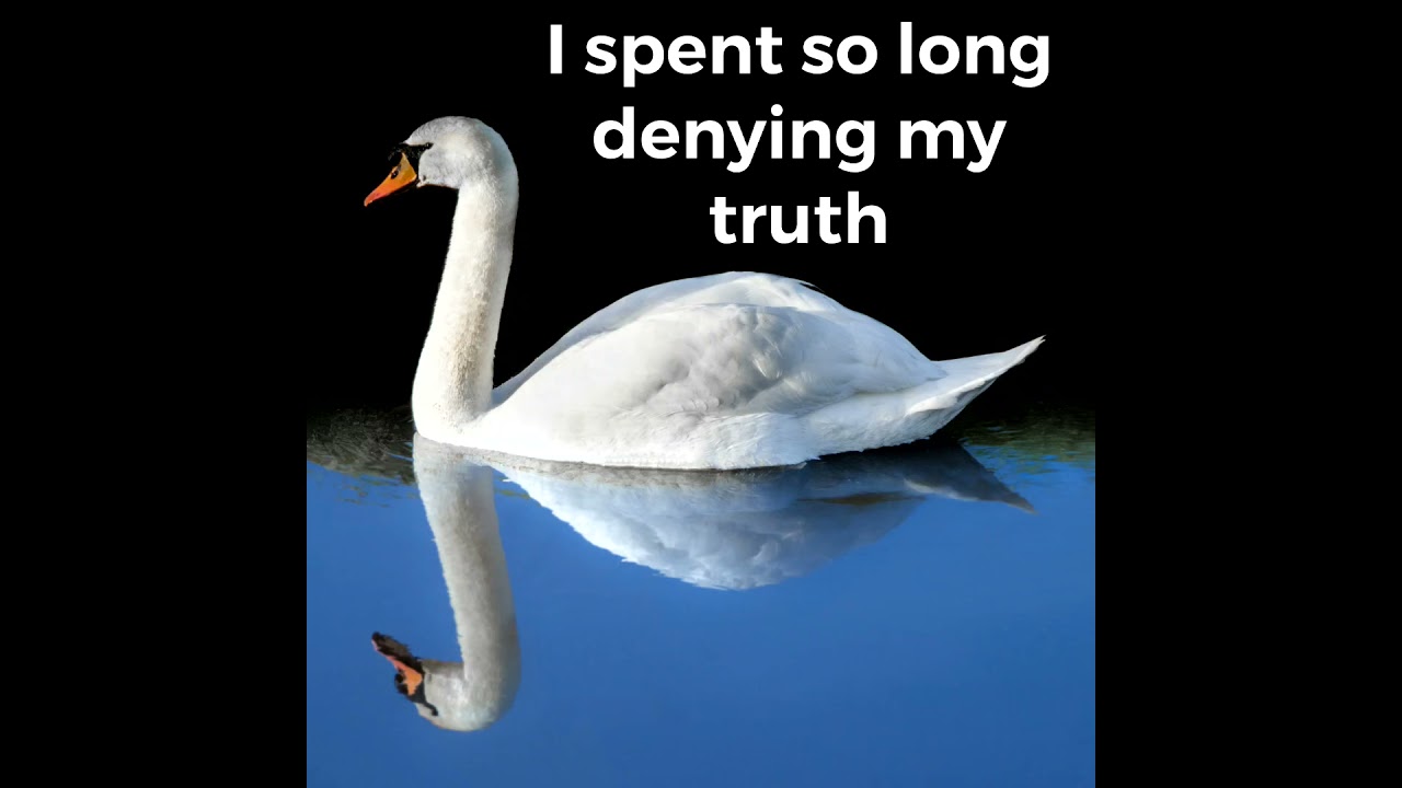 I want to jump in with YOU! no contact Divine counterpart ♂️♀️ channeled message ♾️