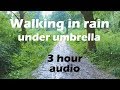 Sounds Of Heavy Rain For 3 Hours - Walking Under Umbrella On Country Path