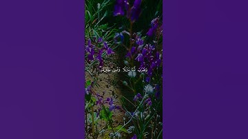 آيات بينات من الذكر الحكيم بصوت رائع جدا ❤ #القرآن_الكريم #اكسبلور #المغرب #لايك  #المصحف