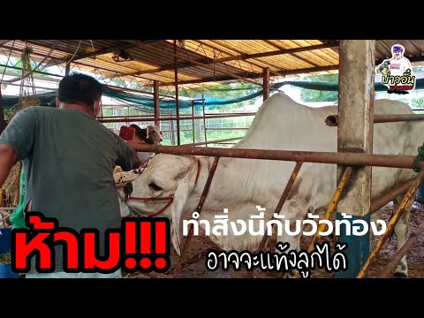ผลสลากกินแบ่งรัฐบาล วันที่ 1 พย. 2567