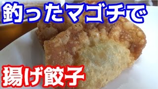 釣れた魚を餃子にしたらめっちゃうまかった！！