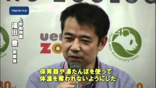 上野動物園「シンシン」　一時的に「母親スイッチ」切れた