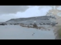 Watch  share  its an elk crossing 