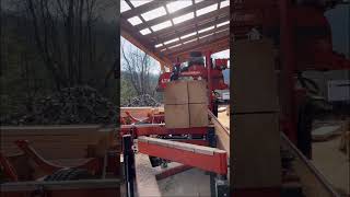 quarter sawing huge oak log!