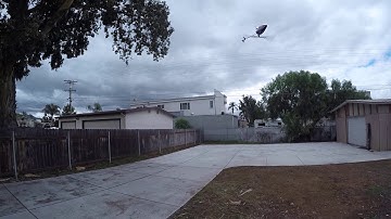 Blade MCPX BL2 Helicopter  " Dumb Thumb Durability Test "  Lost my talent for about 3 minutes..lol