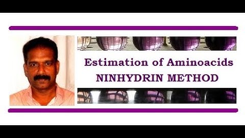 Estimation of Amino acid by Ninhydrin Method: Biochemistry classes, Dr. Vipin P. Sivaram